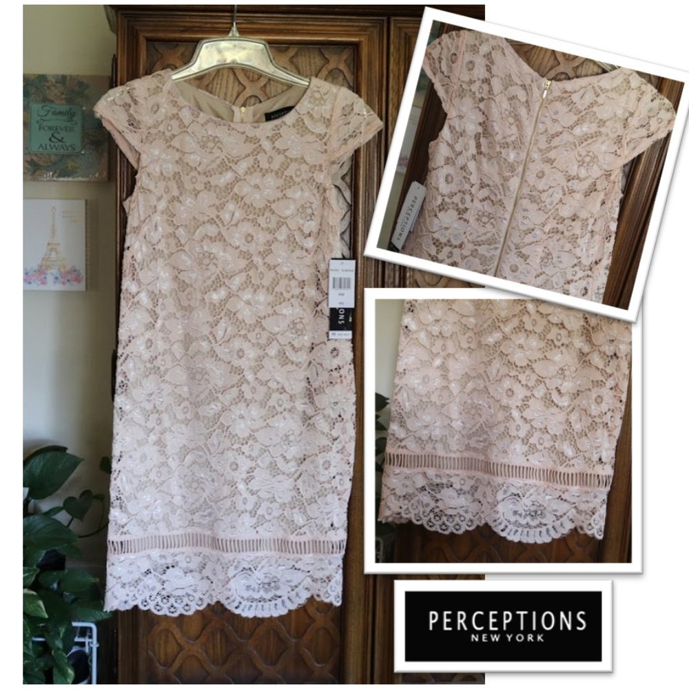PERCEPTIONS New York Blush Nude Lace Sheath Dress - NWT! - Picture 15 of 16
